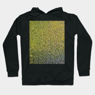 Textures #18b Hoodie